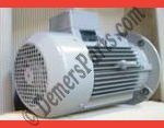 #62-GG – Werie-Rietschle – Original Oil – Wet Type: DCLF – 40 – DV – Motor Replacement