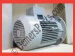 #62-O – Werie-Rietschle – Original Oil – Wet Type: DCLF – 80 – DV - Also Meuller Martini – Motor Replacement