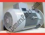 #62-YY – Werie-Rietschle – Original Dry (oil less) Replacement - Factory Supplied –  TR – 81 – DVV – Motor Replacement