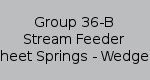 Group 36-B Stream Feeder Sheet Springs - Wedges