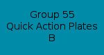 Group 55 Quick Action Plate Clamps B